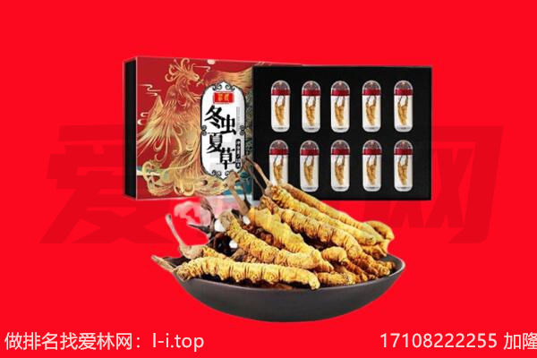 缙云县回收虫草.jpg